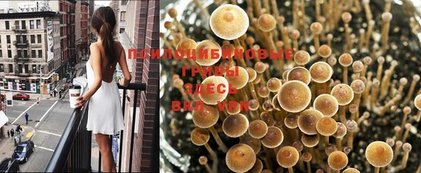 не бодяженный Мегион